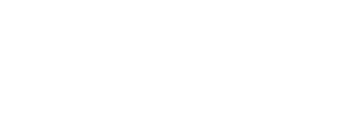 HVEM Sanne Troelsgaard HVAD Landsholdsspiller HVORFOR M lscorer ved Kvindelandsholdets f rste VM slutrunde i 16 r